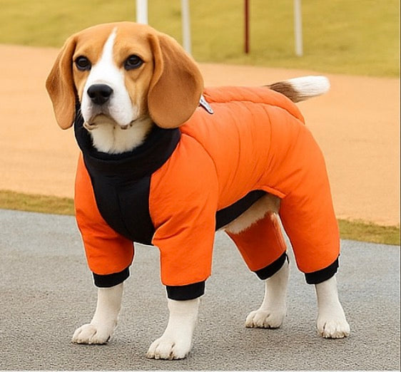 Kurtka Zimowa dla PsówTM