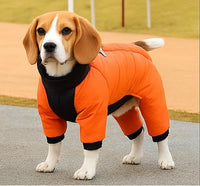 Kurtka Zimowa dla PsówTM