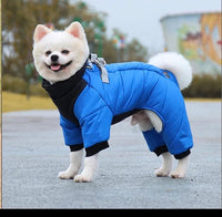 Kurtka Zimowa dla PsówTM